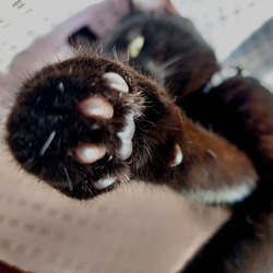 画像: 店長★金太郎